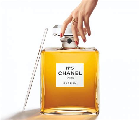 perfume bottle chanel|Chanel no 5 biggest bottle.